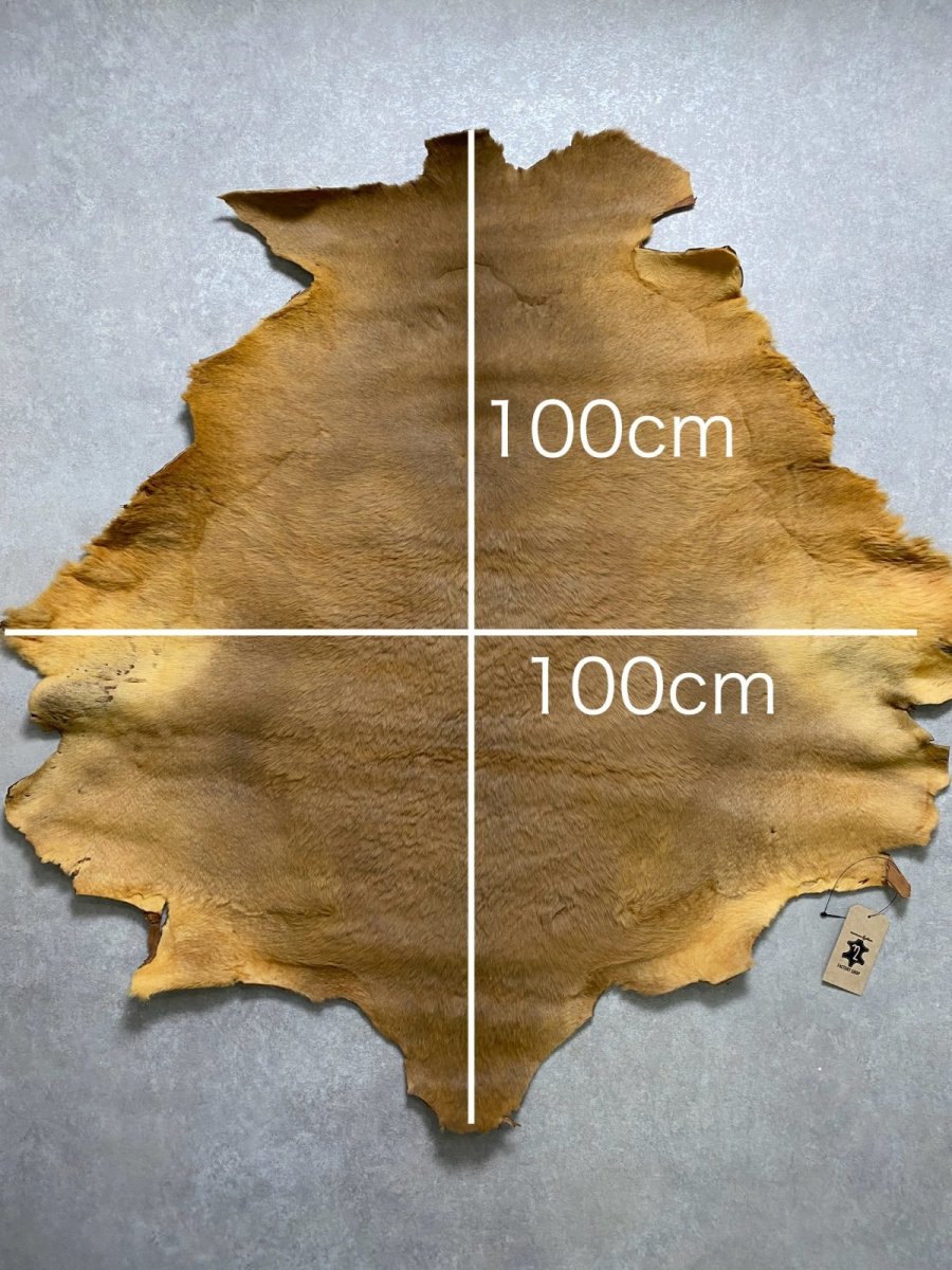 画像10: カンガルー毛皮 カンガルーヘアー ライトキャメル (10)