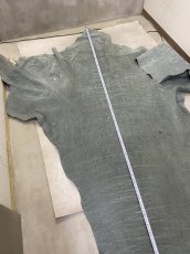 画像8: エレファントレザー　顔　グレー　ゾウ革　象革　エキゾチックレザー (8)