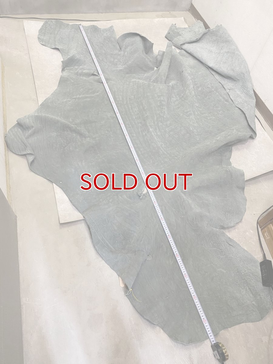 画像7: エレファントレザー 顔 グレー ゾウ革 象革 エキゾチックレザー (7)