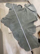 画像7: エレファントレザー　顔　グレー　ゾウ革　象革　エキゾチックレザー (7)