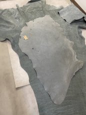 画像9: エレファントレザー　顔　グレー　ゾウ革　象革　エキゾチックレザー (9)