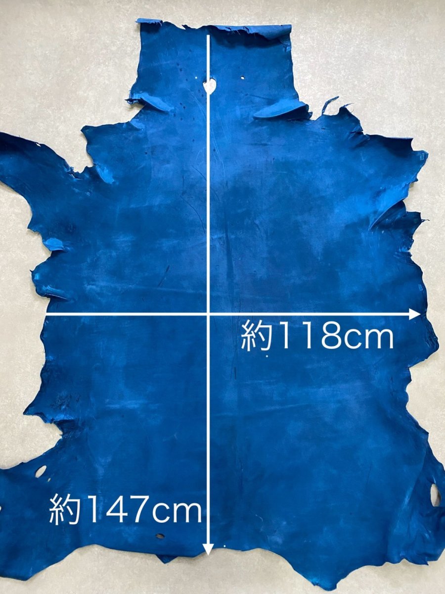 画像11: クードゥー　ブルー　クーズー　KUDU (11)