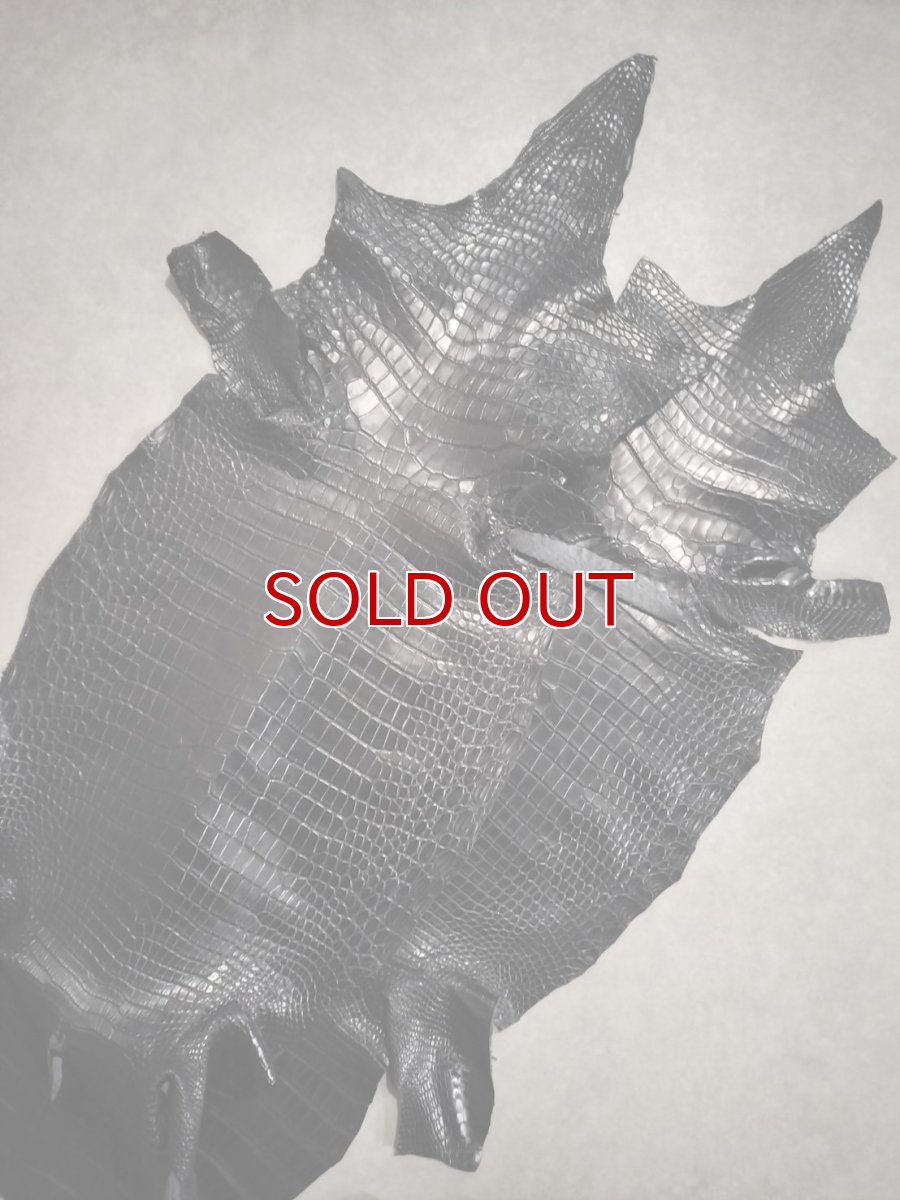 画像1: 【お客様専用】スモールクロコダイル　ブラック　45　ポロサス　ワニ革　クロコダイル革　2枚 (1)