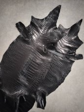 画像1: 【お客様専用】スモールクロコダイル　ブラック　45　ポロサス　ワニ革　クロコダイル革　2枚 (1)