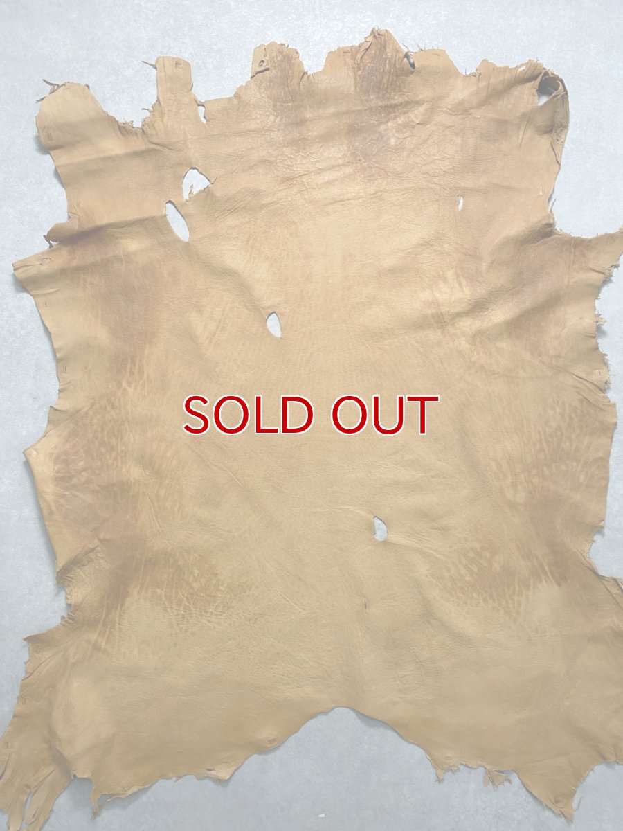 画像1: エゾシカ革　キャメル　ディアー (1)