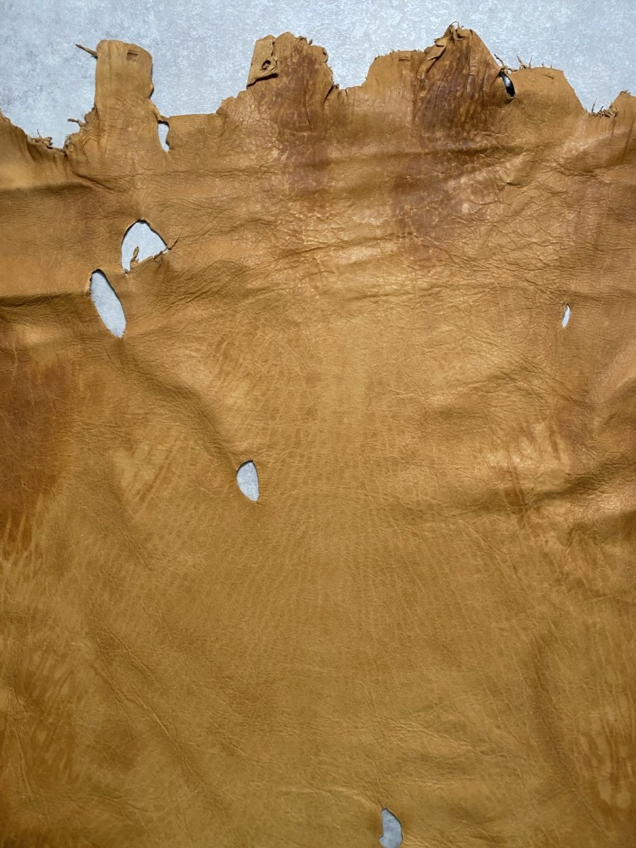 画像2: エゾシカ革　キャメル　ディアー (2)