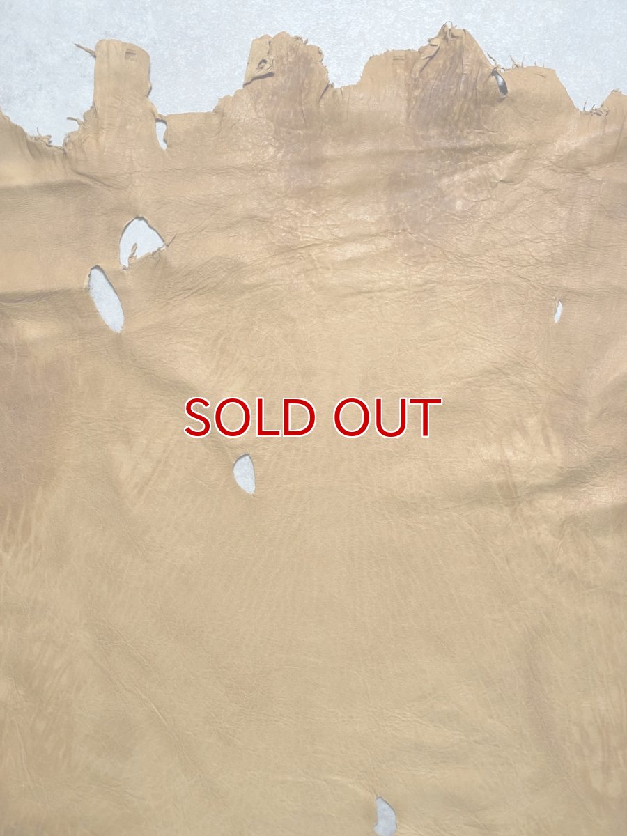 画像2: エゾシカ革　キャメル　ディアー (2)