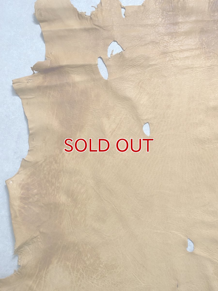 画像4: エゾシカ革　キャメル　ディアー (4)