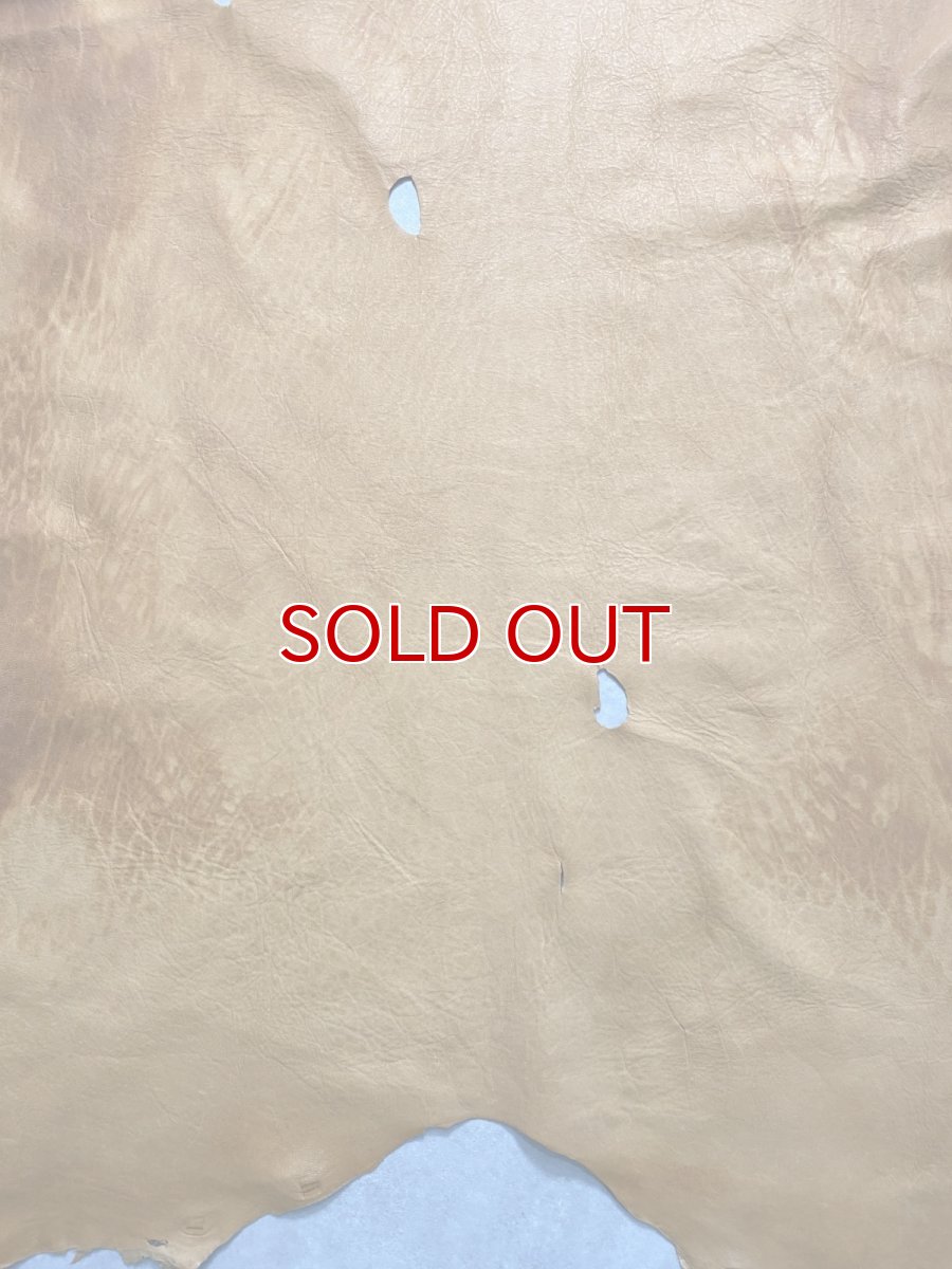 画像7: エゾシカ革　キャメル　ディアー (7)