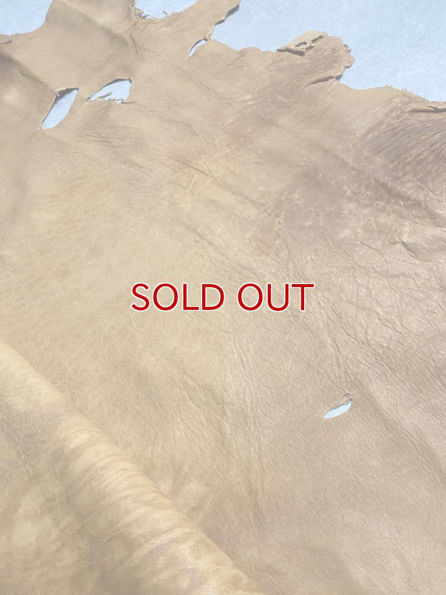 画像3: エゾシカ革　キャメル　ディアー (3)