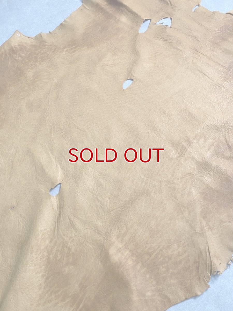 画像10: エゾシカ革　キャメル　ディアー (10)