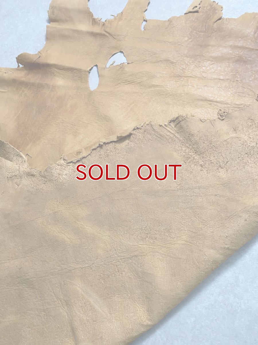 画像12: エゾシカ革　キャメル　ディアー (12)