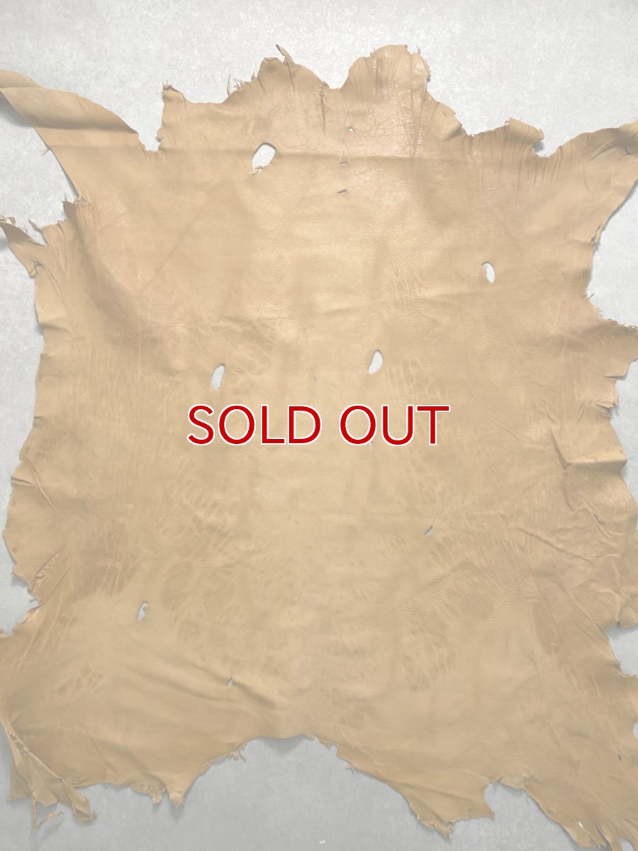 画像1: エゾシカ革　キャメル　ディアー (1)