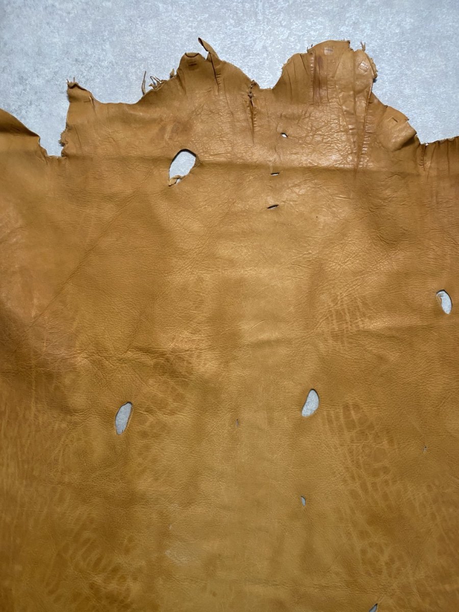 画像3: エゾシカ革 キャメル ディアー (3)