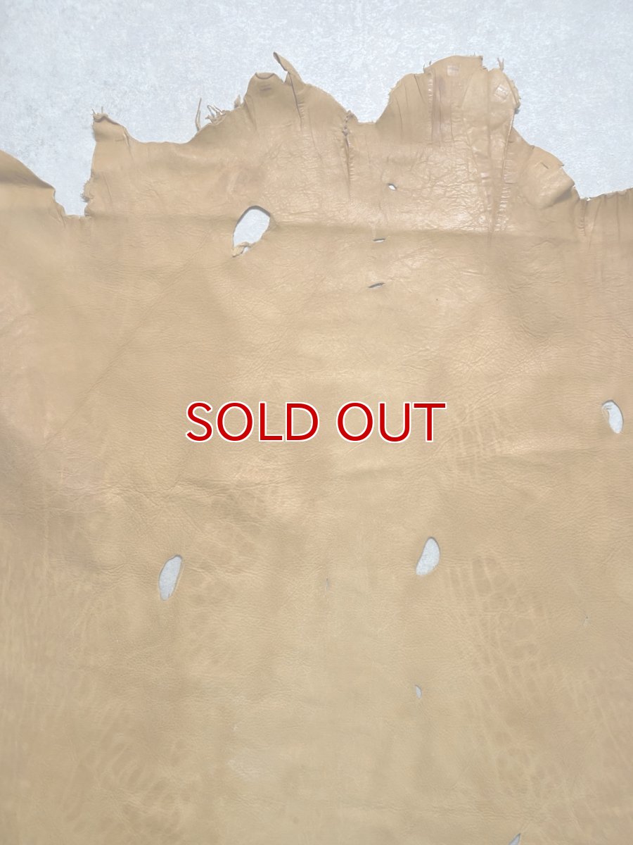 画像3: エゾシカ革　キャメル　ディアー (3)