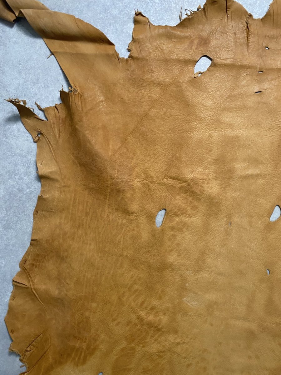 画像4: エゾシカ革 キャメル ディアー (4)