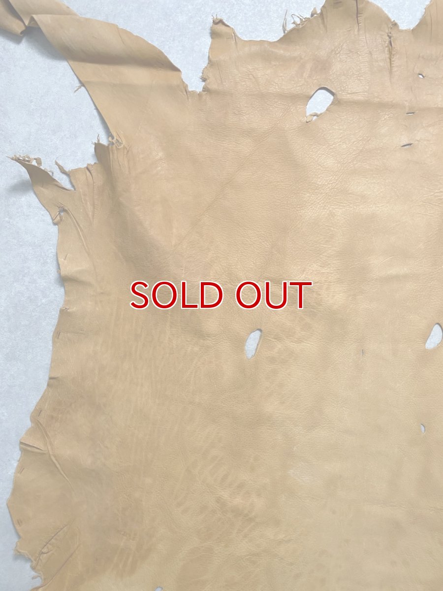 画像4: エゾシカ革　キャメル　ディアー (4)