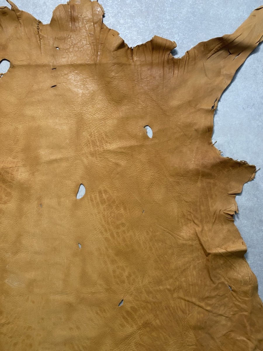 画像5: エゾシカ革 キャメル ディアー (5)