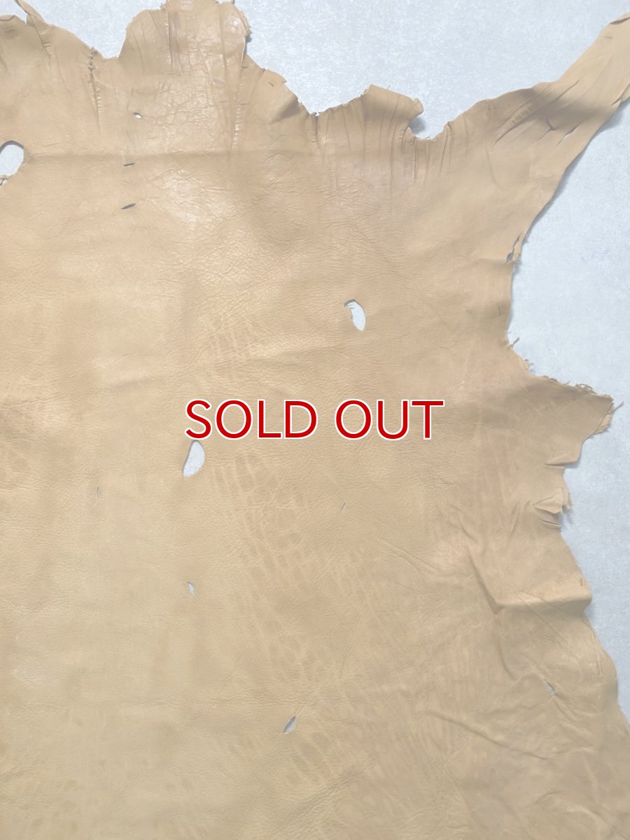 画像5: エゾシカ革　キャメル　ディアー (5)