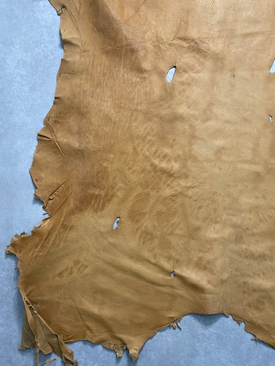 画像6: エゾシカ革 キャメル ディアー (6)