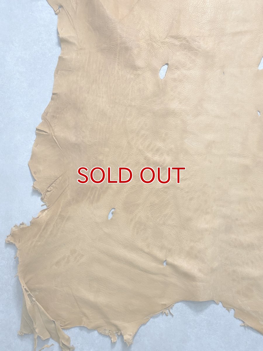 画像6: エゾシカ革　キャメル　ディアー (6)