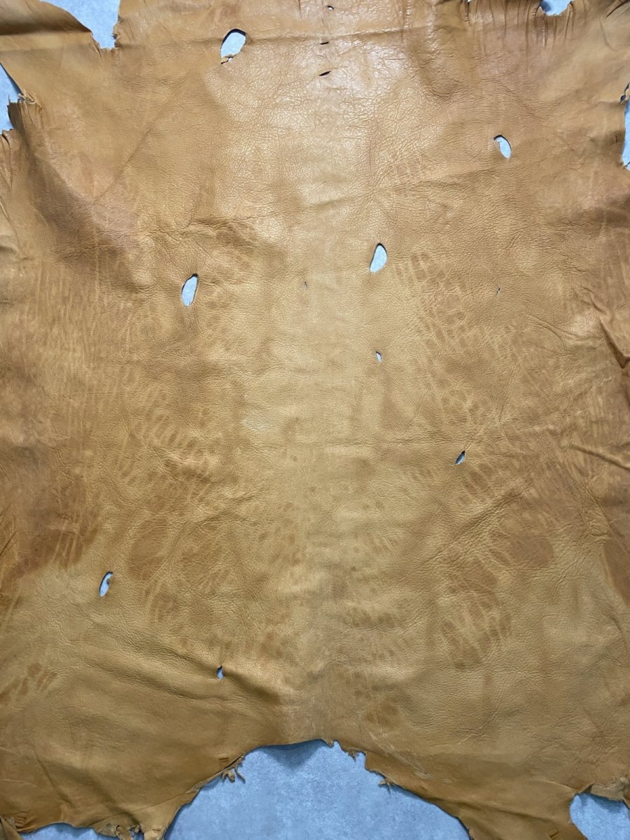 画像7: エゾシカ革 キャメル ディアー (7)