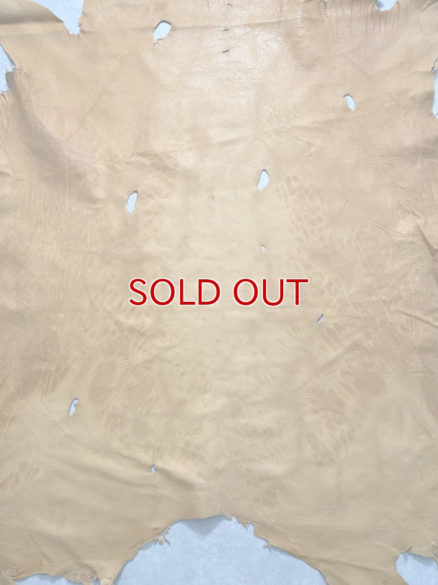 画像7: エゾシカ革　キャメル　ディアー (7)