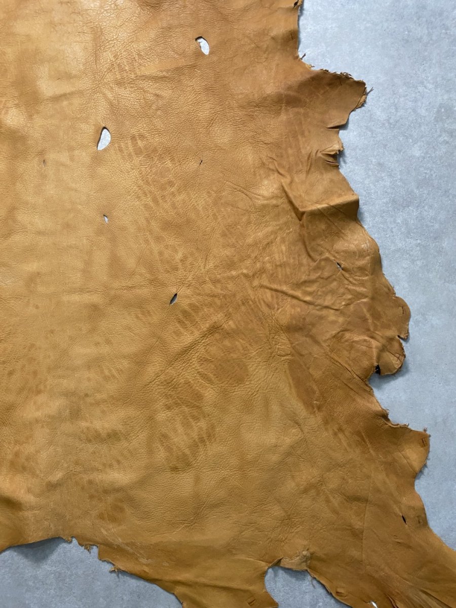 画像8: エゾシカ革 キャメル ディアー (8)