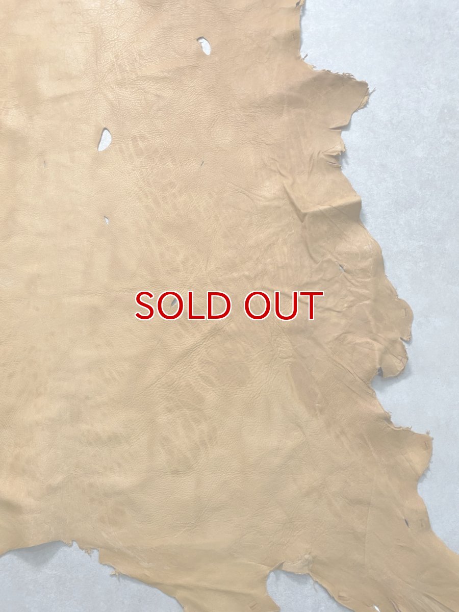 画像8: エゾシカ革　キャメル　ディアー (8)