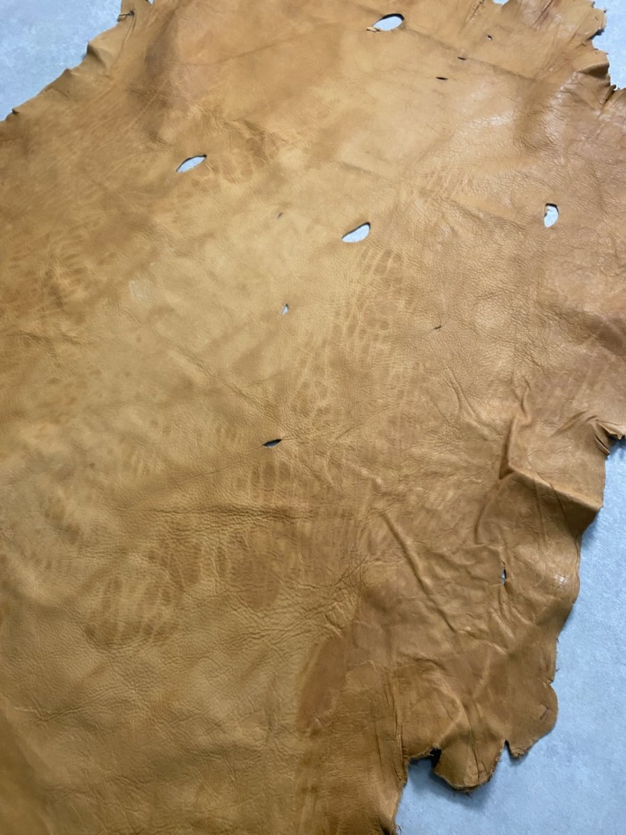 画像9: エゾシカ革 キャメル ディアー (9)