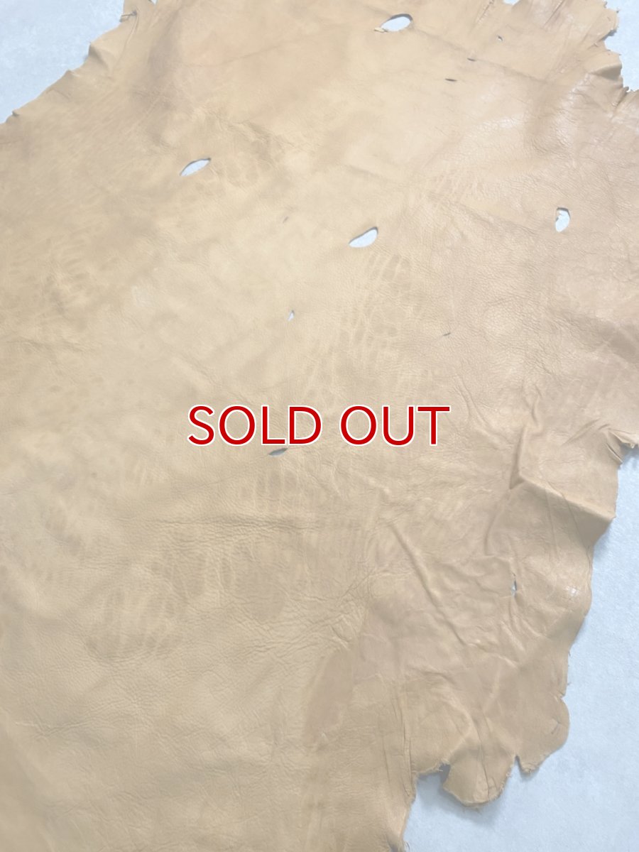 画像9: エゾシカ革　キャメル　ディアー (9)