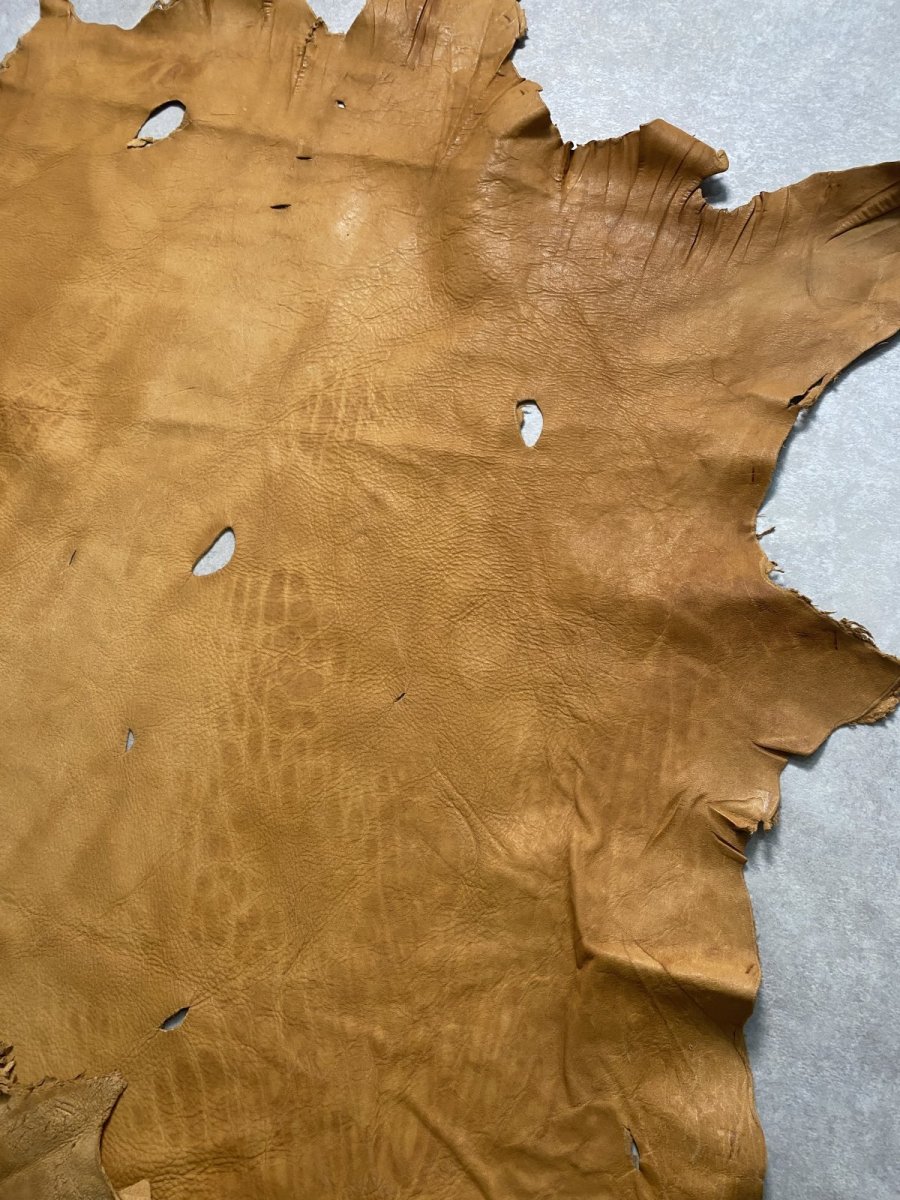 画像2: エゾシカ革 キャメル ディアー (2)