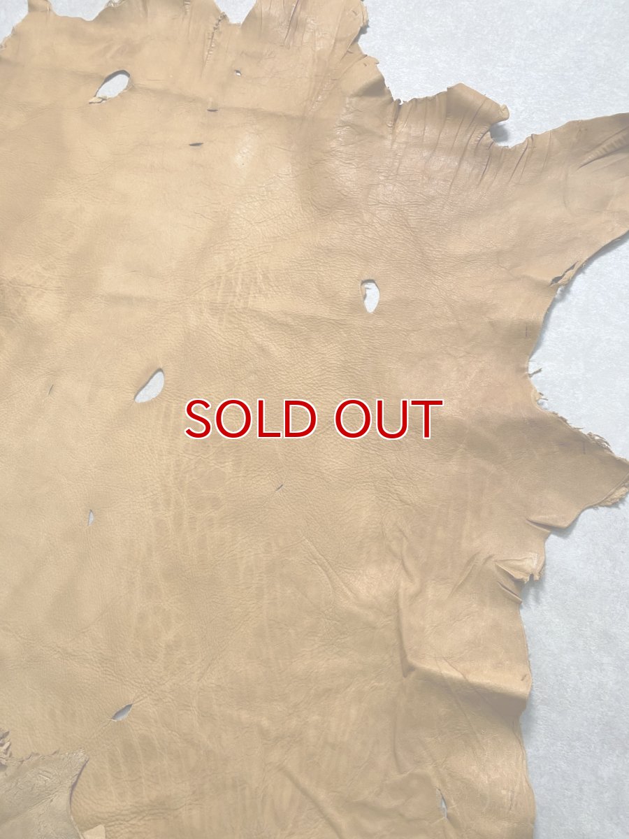 画像2: エゾシカ革　キャメル　ディアー (2)