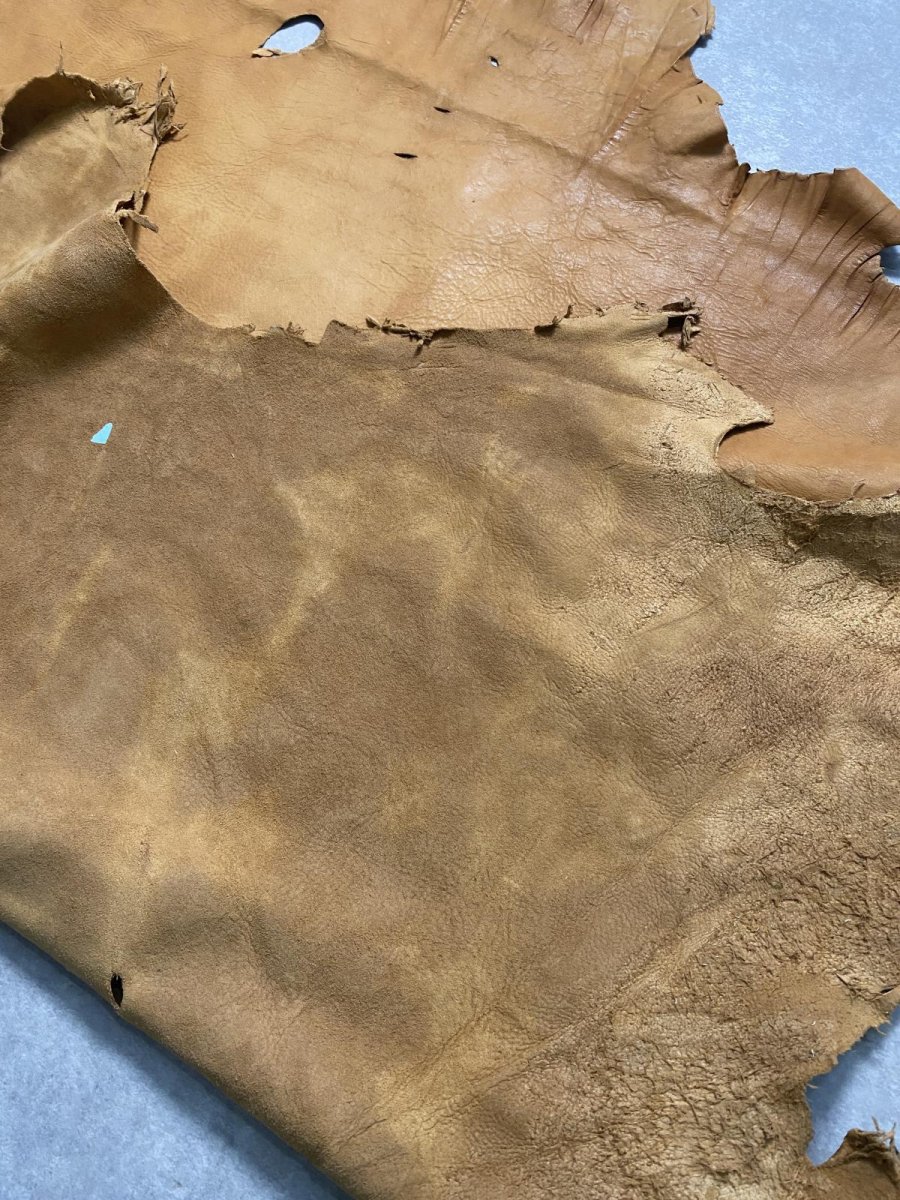 画像10: エゾシカ革 キャメル ディアー (10)