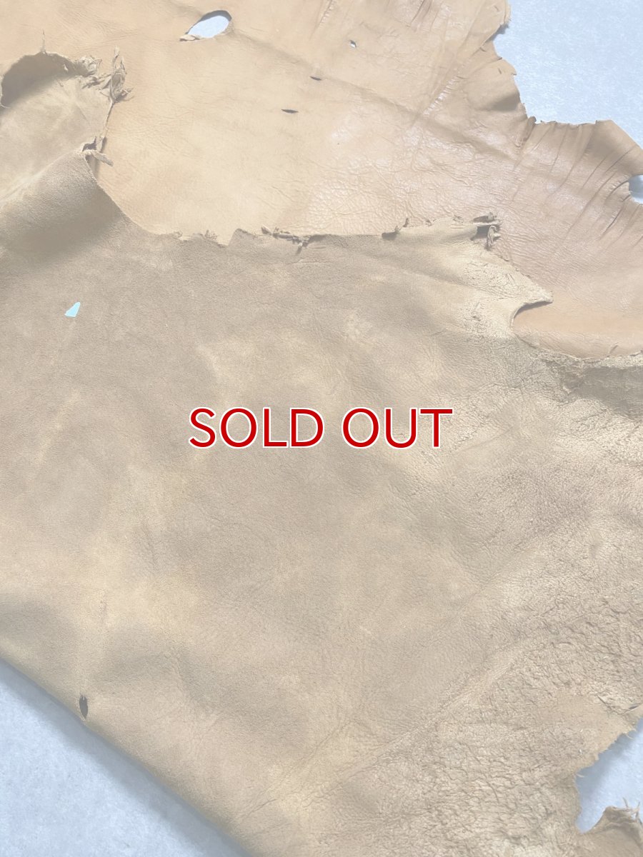 画像10: エゾシカ革　キャメル　ディアー (10)