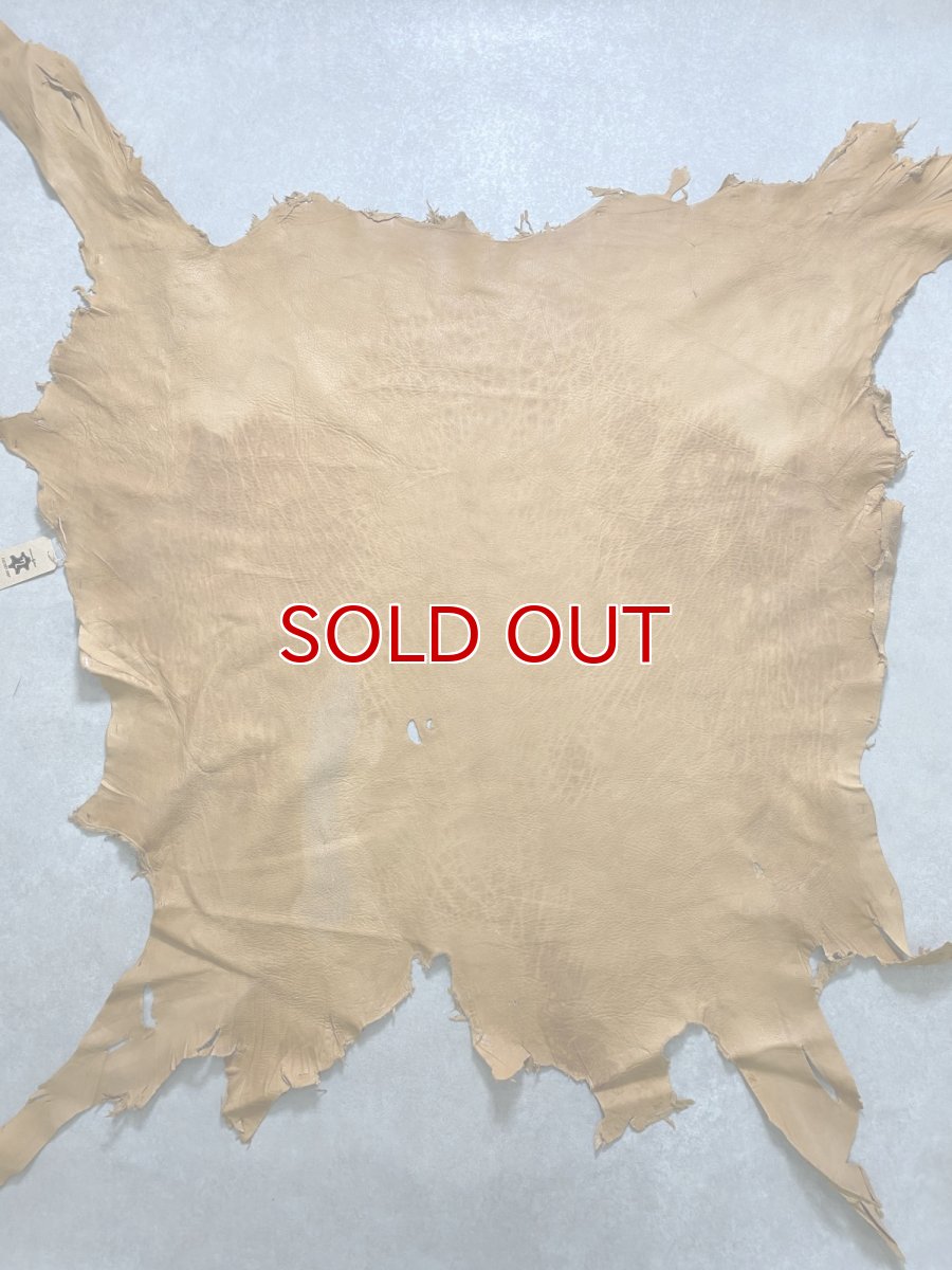 画像1: エゾシカ革　キャメル　ディアー (1)