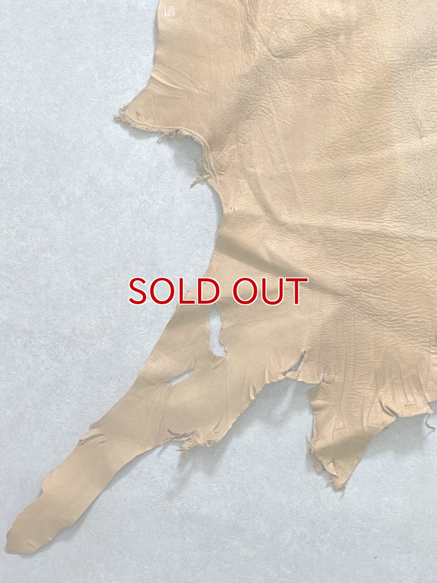 画像5: エゾシカ革　キャメル　ディアー (5)