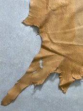 画像5: エゾシカ革　キャメル　ディアー (5)