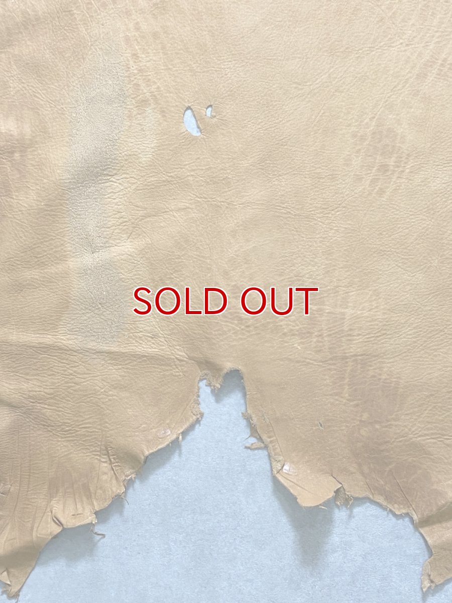 画像6: エゾシカ革　キャメル　ディアー (6)