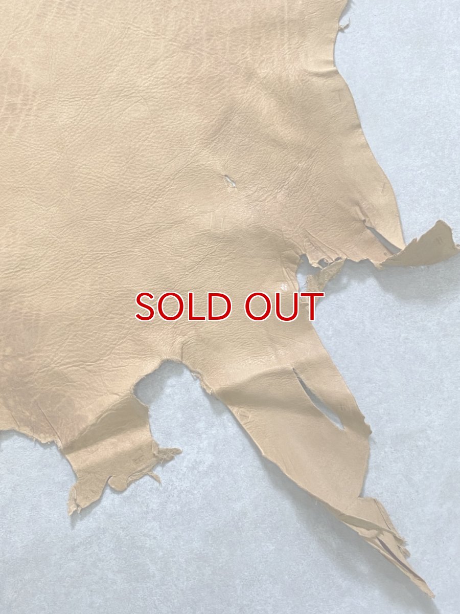 画像7: エゾシカ革　キャメル　ディアー (7)