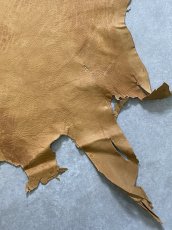 画像7: エゾシカ革　キャメル　ディアー (7)