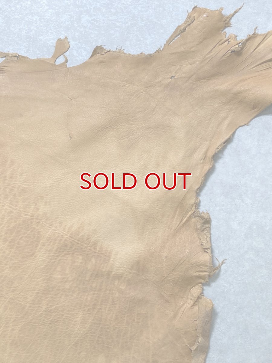 画像4: エゾシカ革　キャメル　ディアー (4)