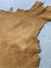 画像4: エゾシカ革　キャメル　ディアー (4)