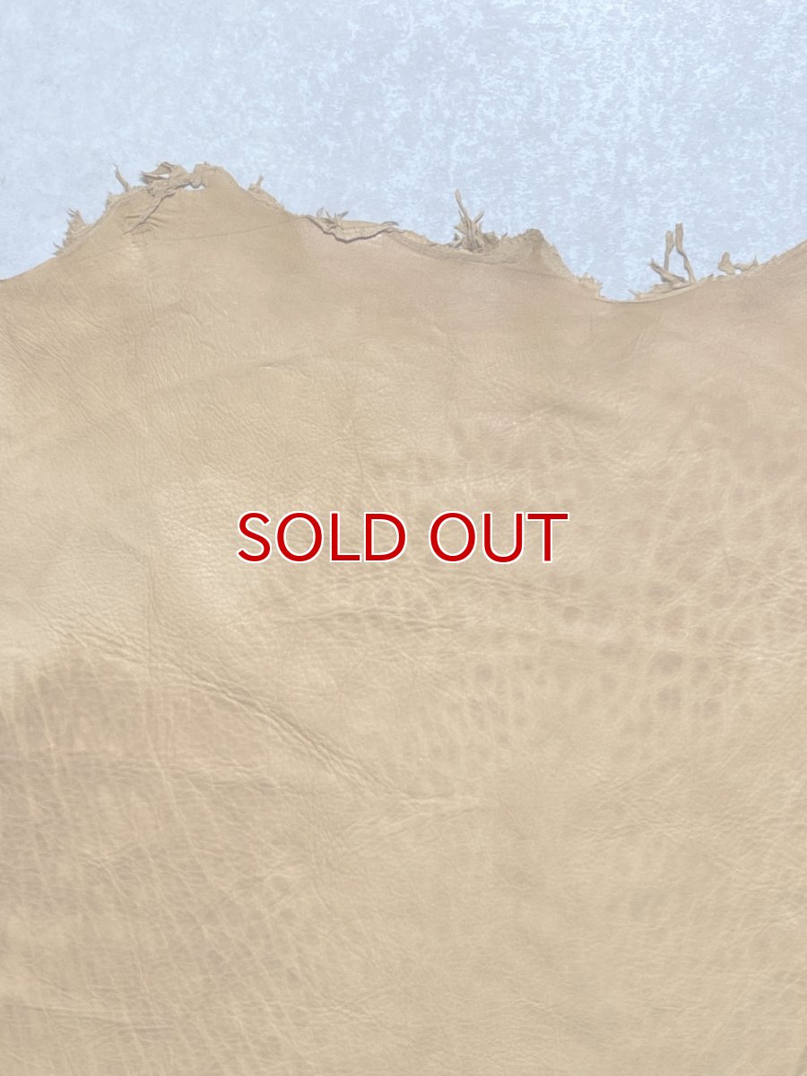 画像3: エゾシカ革　キャメル　ディアー (3)