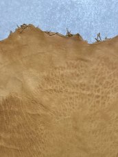 画像3: エゾシカ革　キャメル　ディアー (3)