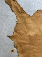 画像2: エゾシカ革　キャメル　ディアー (2)