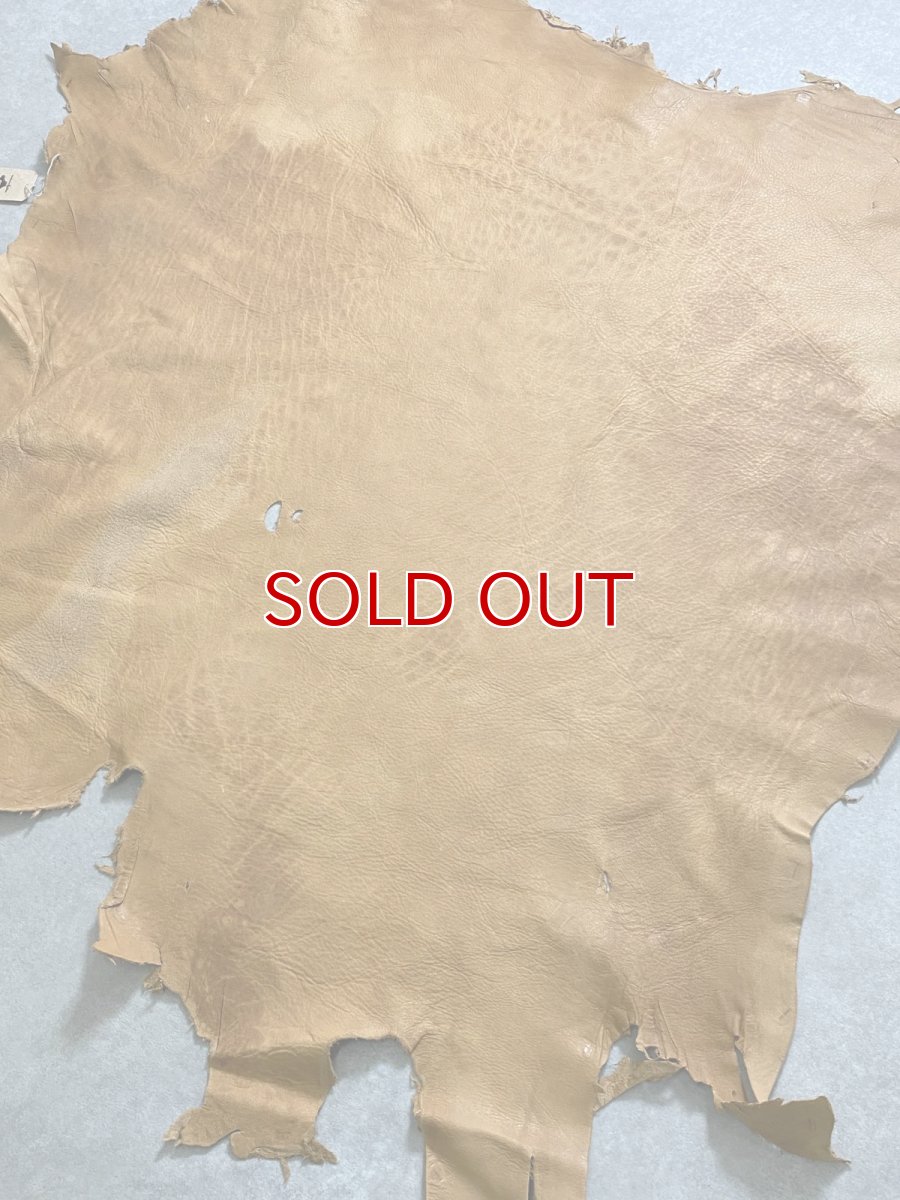 画像8: エゾシカ革　キャメル　ディアー (8)