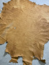 画像8: エゾシカ革　キャメル　ディアー (8)