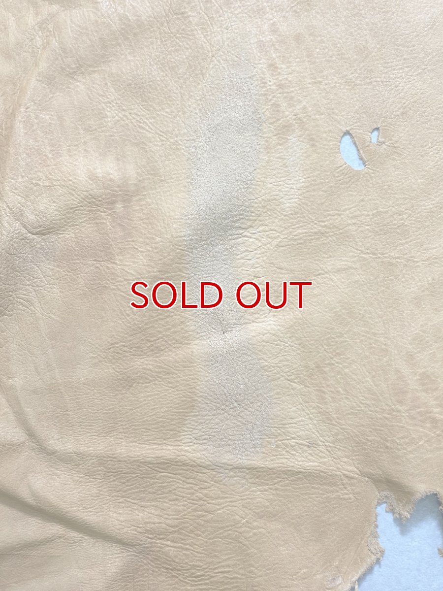 画像12: エゾシカ革　キャメル　ディアー (12)