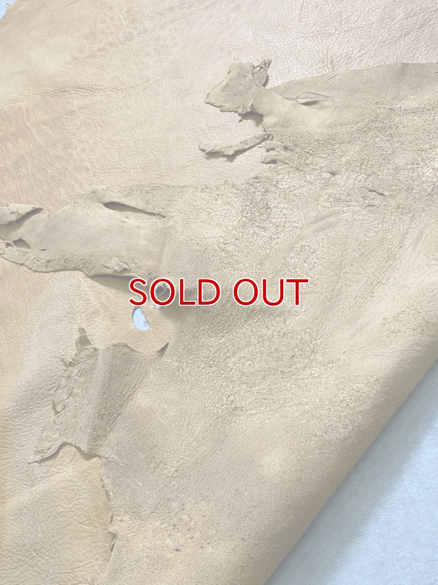 画像11: エゾシカ革　キャメル　ディアー (11)